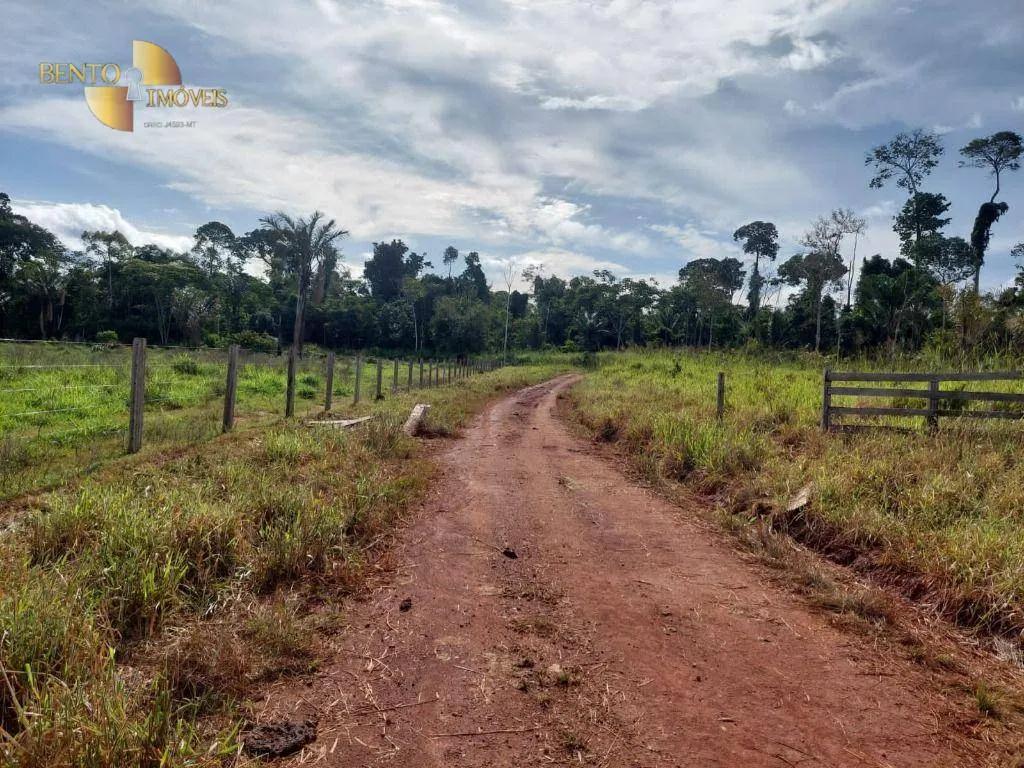 Farm for sale of 7,409 acres in Aripuanã, MT, Brazil