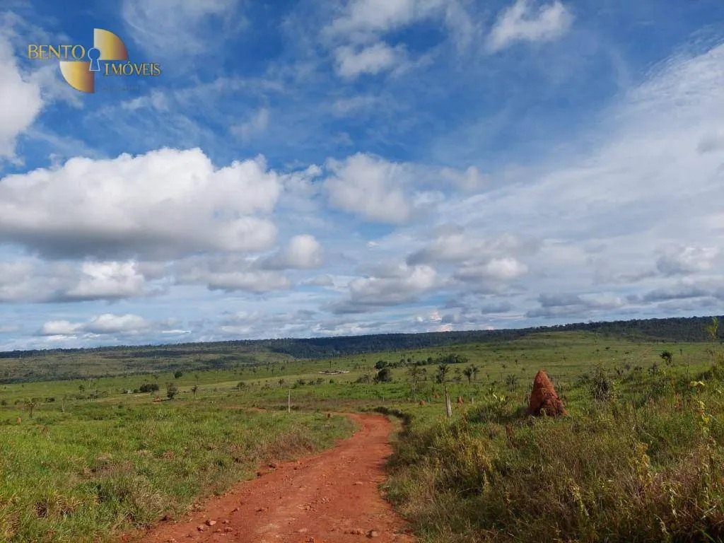 Farm for sale of 7,409 acres in Aripuanã, MT, Brazil