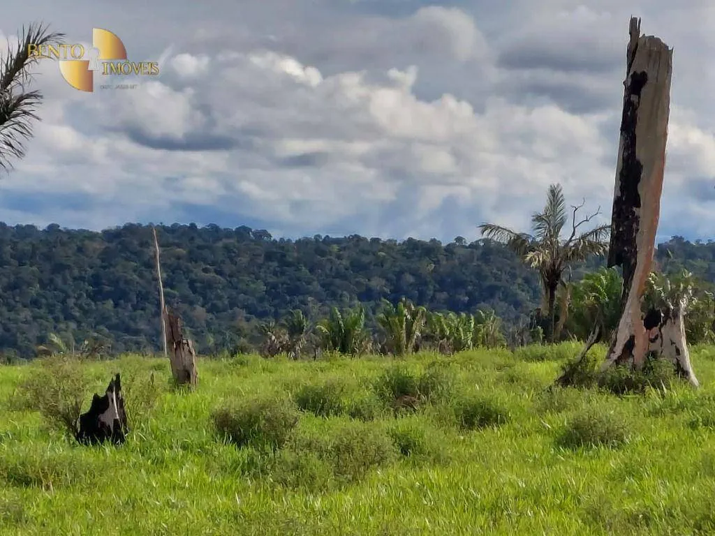 Farm for sale of 7,409 acres in Aripuanã, MT, Brazil