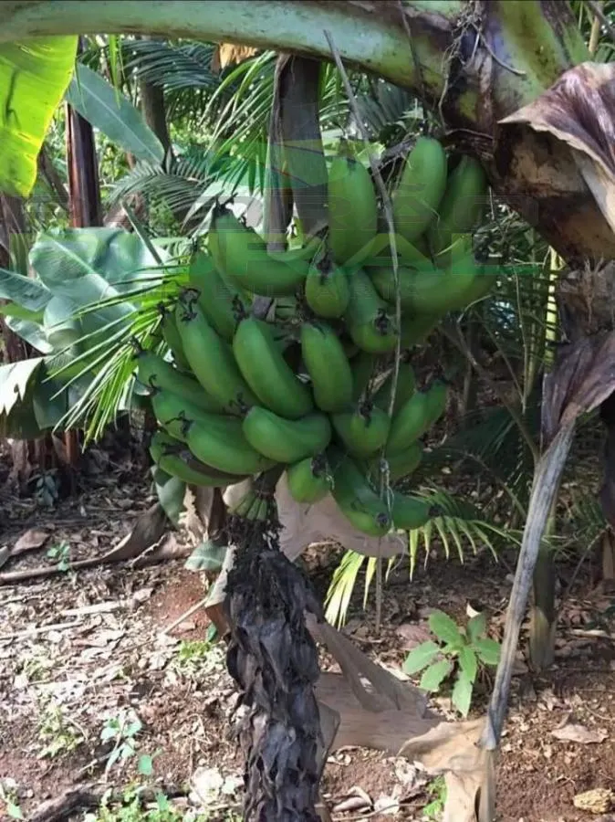Chácara à venda de 1.367 m² em Alumínio, SP, Brasil