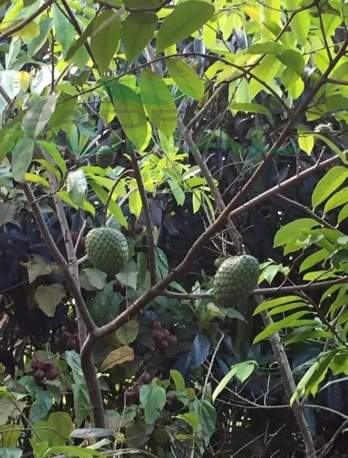 Chácara à venda de 1.367 m² em Alumínio, SP, Brasil