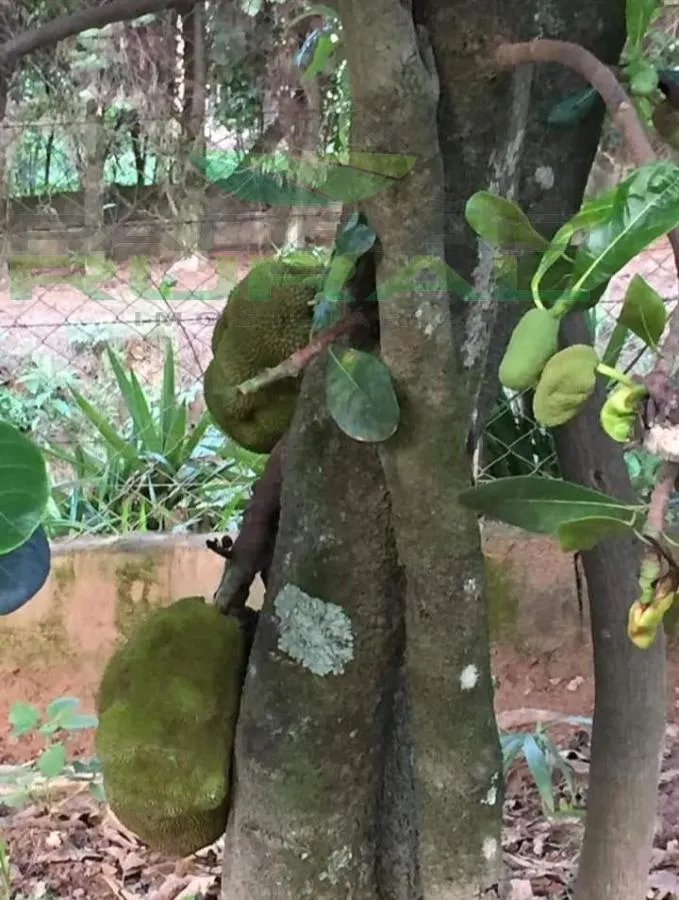 Chácara à venda de 1.367 m² em Alumínio, SP, Brasil
