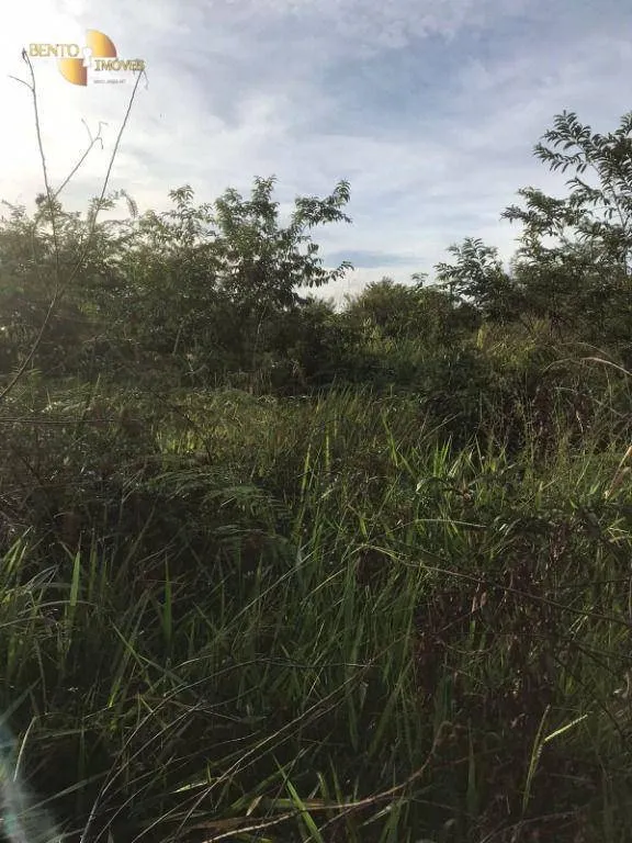 Fazenda à venda e para Arrendar de 2.347 ha em Marcelândia, MT, Brasil