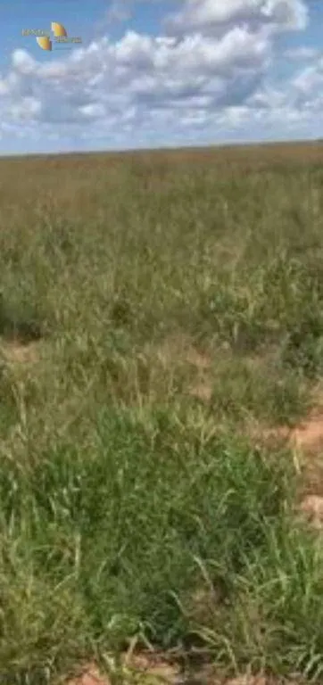 Fazenda à venda e para Arrendar de 2.347 ha em Marcelândia, MT, Brasil