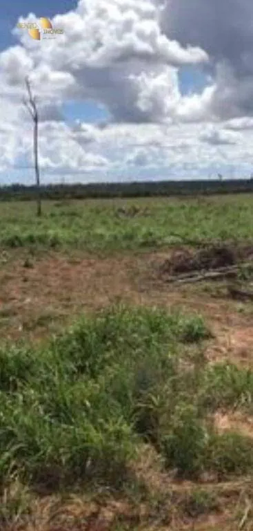 Fazenda à venda e para Arrendar de 2.347 ha em Marcelândia, MT, Brasil