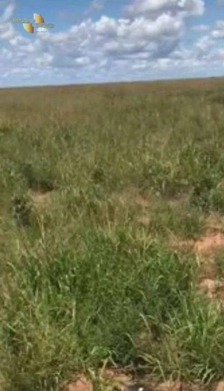 Fazenda à venda e para Arrendar de 2.347 ha em Marcelândia, MT, Brasil