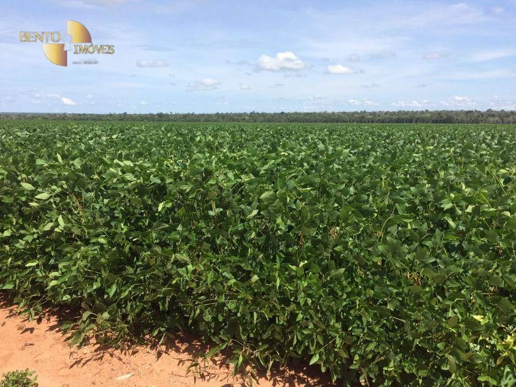 Fazenda à venda e para Arrendar de 2.347 ha em Marcelândia, MT, Brasil