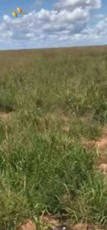 Fazenda à venda e para Arrendar de 2.347 ha em Marcelândia, MT, Brasil