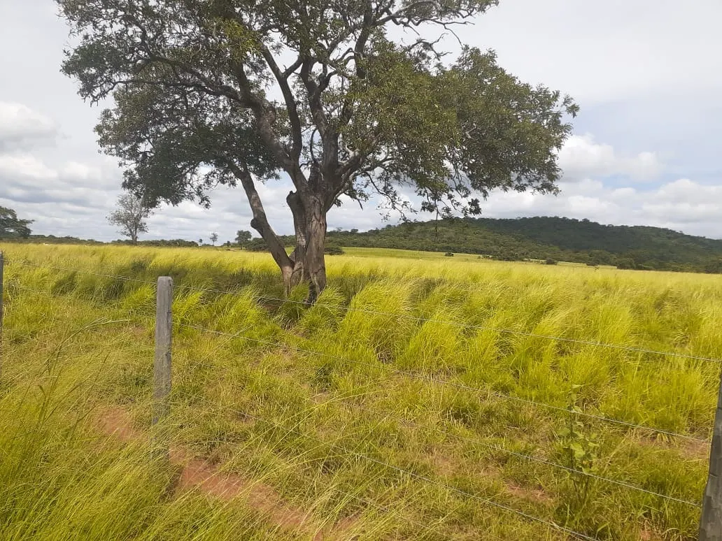 Fazenda à venda de 2.577 ha em Campos Belos, GO, Brasil