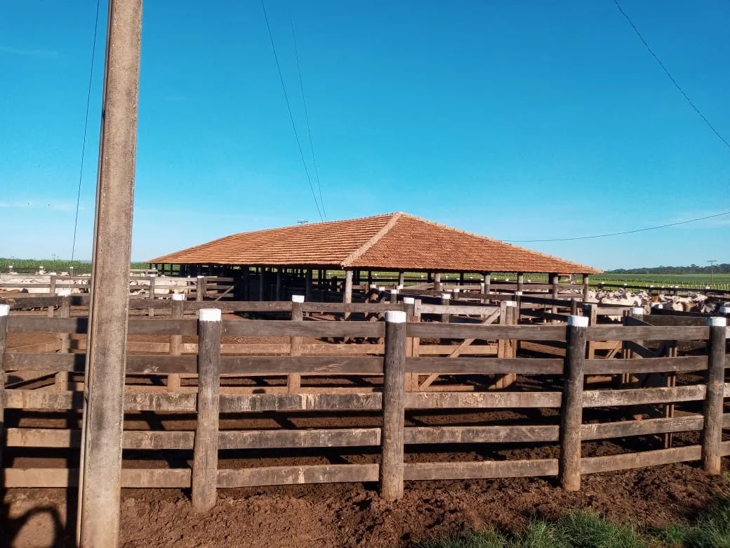 Fazenda à venda de 2.577 ha em Campos Belos, GO, Brasil