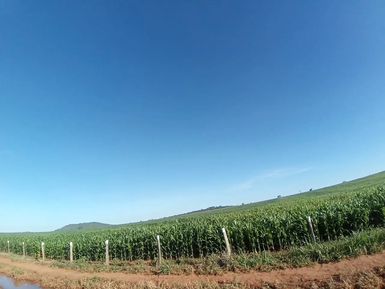Fazenda à venda de 2.577 ha em Campos Belos, GO, Brasil