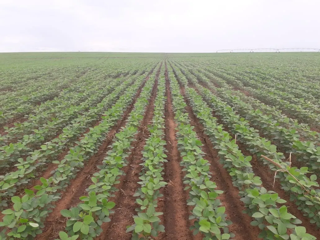 Fazenda à venda de 2.577 ha em Campos Belos, GO, Brasil