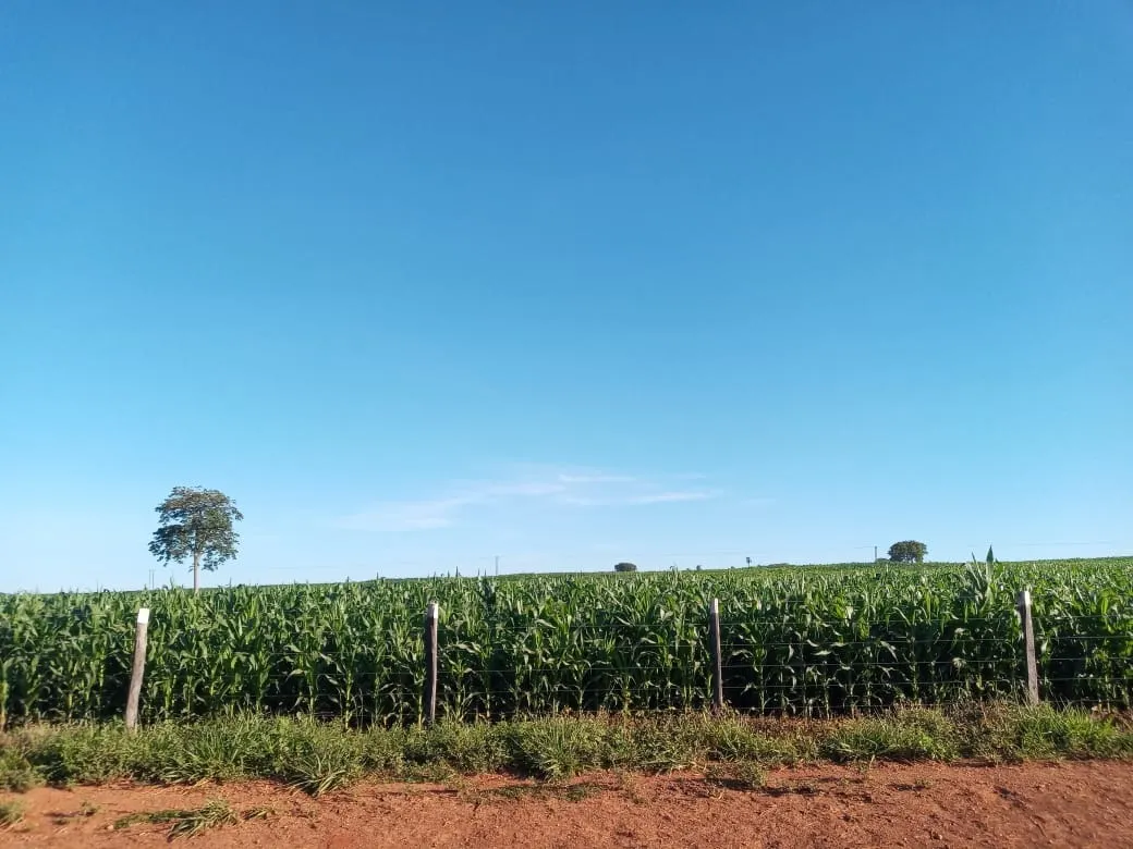 Fazenda à venda de 2.577 ha em Campos Belos, GO, Brasil