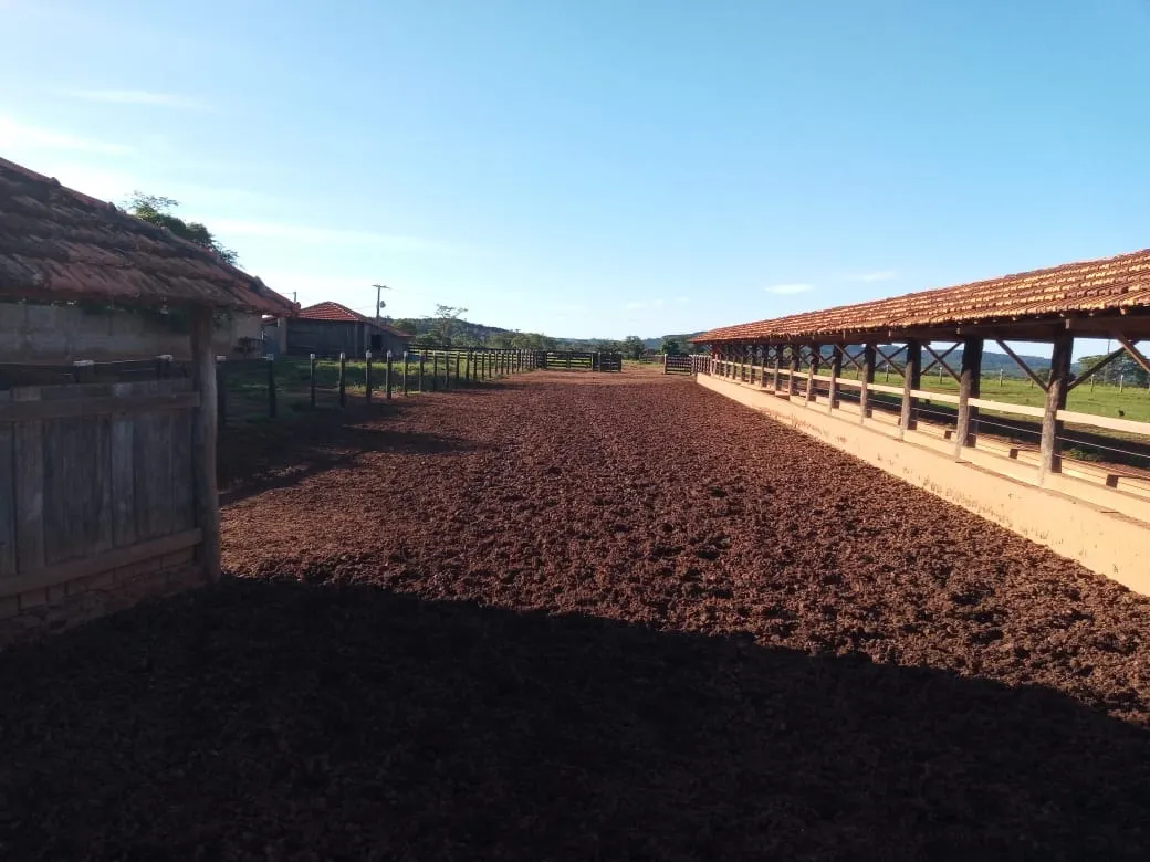 Fazenda à venda de 2.577 ha em Campos Belos, GO, Brasil