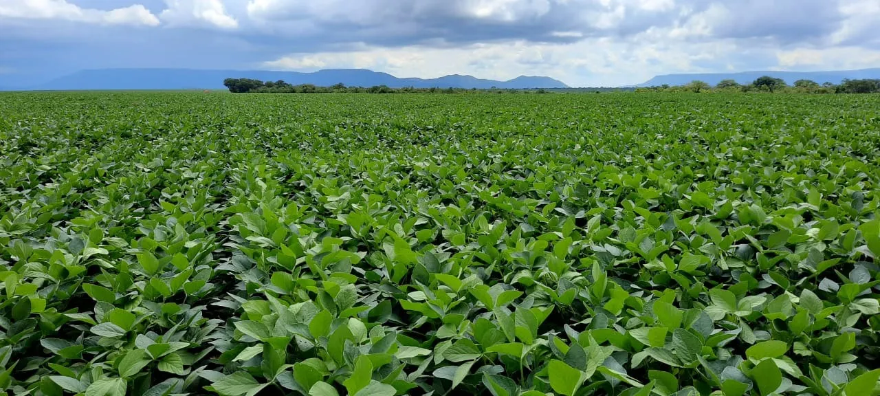 Fazenda à venda de 2.577 ha em Campos Belos, GO, Brasil