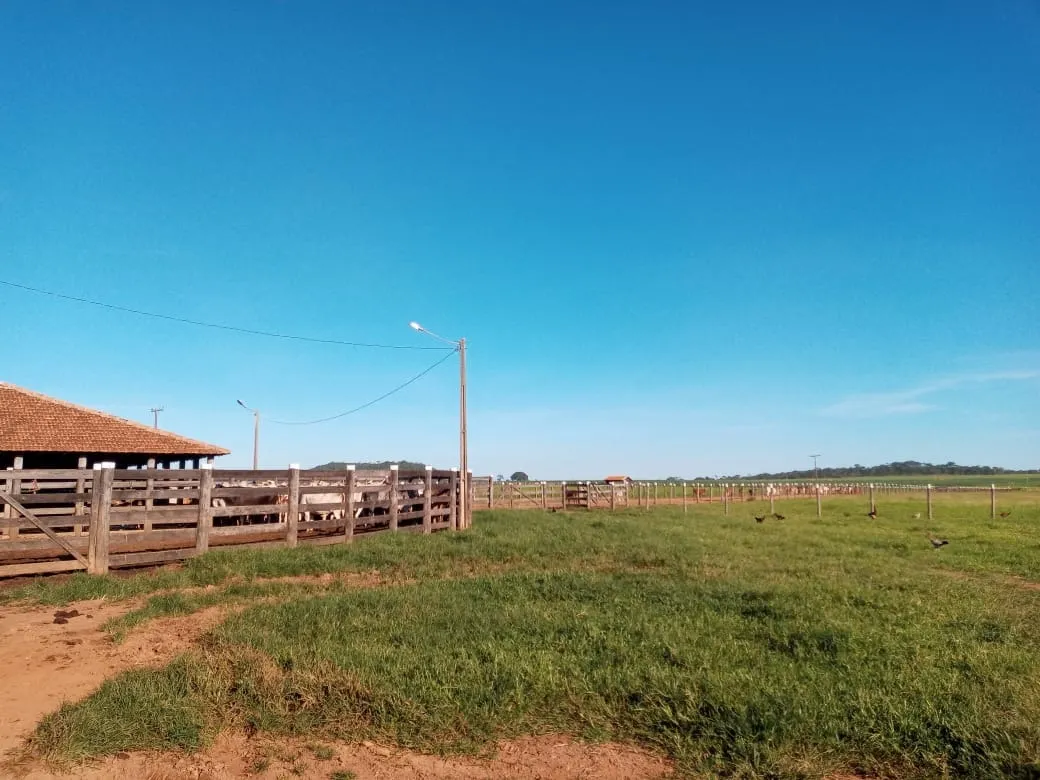 Fazenda à venda de 2.577 ha em Campos Belos, GO, Brasil