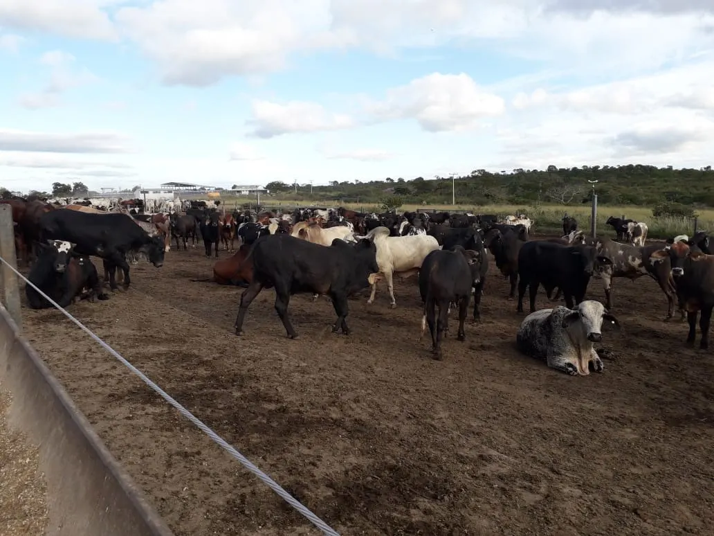 Fazenda à venda de 2.577 ha em Campos Belos, GO, Brasil