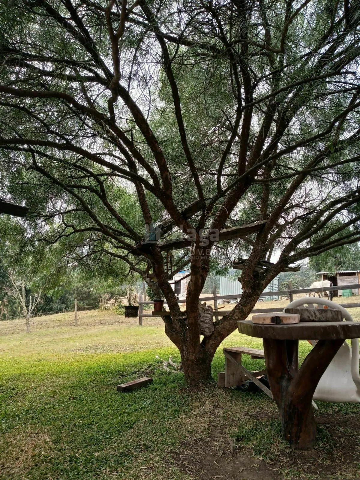 Chácara à venda e para Arrendar de 1.617 m² em Urubici, SC, Brasil