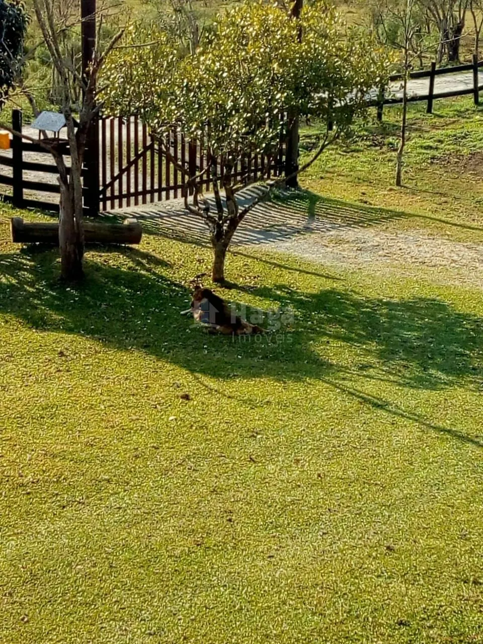 Chácara à venda e para Arrendar de 1.617 m² em Urubici, SC, Brasil