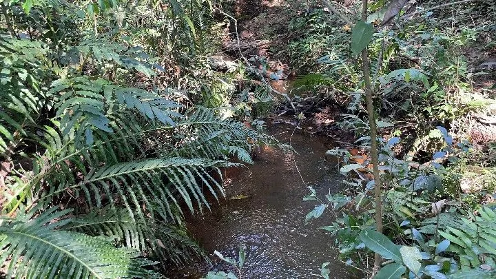 Chácara à venda de 6.800 m² em Santo Antônio da Patrulha, RS, Brasil
