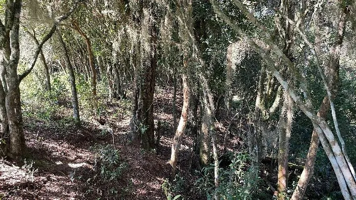 Chácara à venda de 6.800 m² em Santo Antônio da Patrulha, RS, Brasil