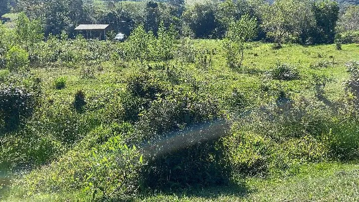 Chácara à venda de 6.800 m² em Santo Antônio da Patrulha, RS, Brasil
