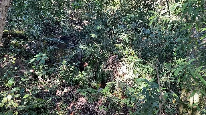 Chácara à venda de 6.800 m² em Santo Antônio da Patrulha, RS, Brasil