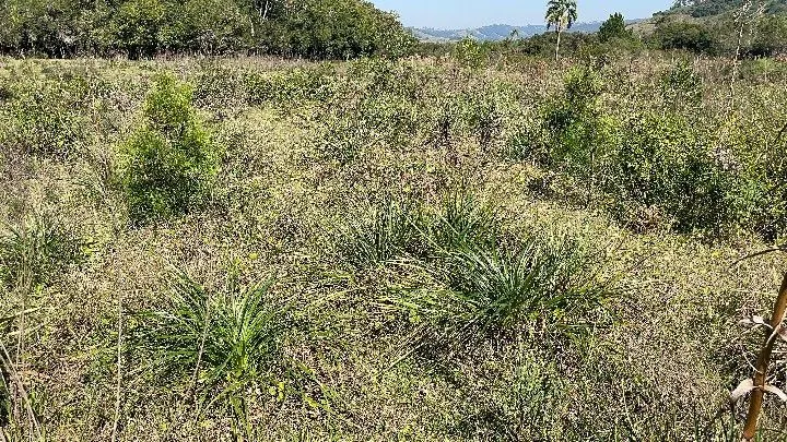 Chácara à venda de 6.800 m² em Santo Antônio da Patrulha, RS, Brasil