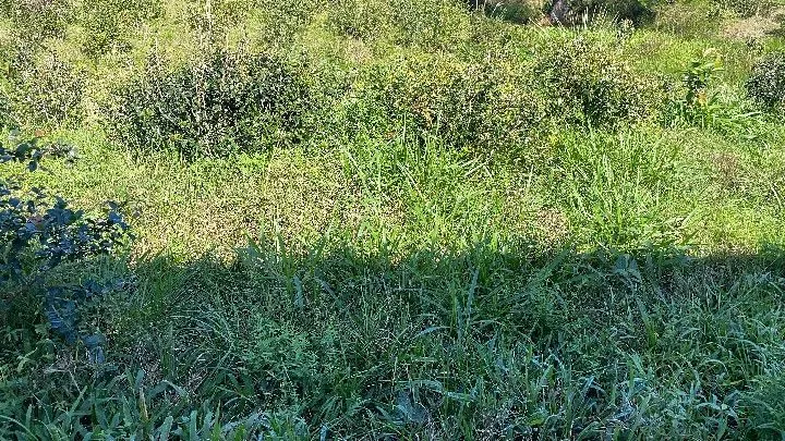 Chácara à venda de 6.800 m² em Santo Antônio da Patrulha, RS, Brasil