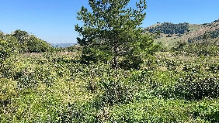 Chácara à venda de 6.800 m² em Santo Antônio da Patrulha, RS, Brasil