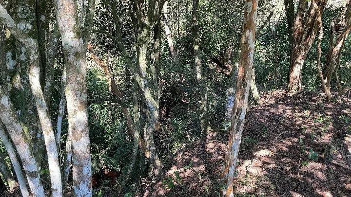 Chácara à venda de 6.800 m² em Santo Antônio da Patrulha, RS, Brasil