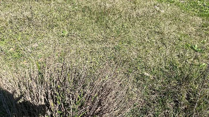 Chácara à venda de 6.800 m² em Santo Antônio da Patrulha, RS, Brasil