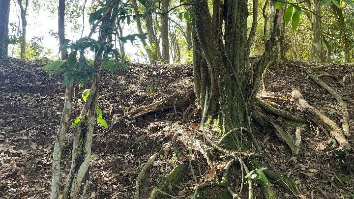 Chácara à venda de 6.800 m² em Santo Antônio da Patrulha, RS, Brasil