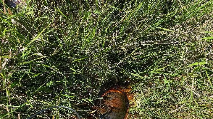 Chácara à venda de 6.800 m² em Santo Antônio da Patrulha, RS, Brasil