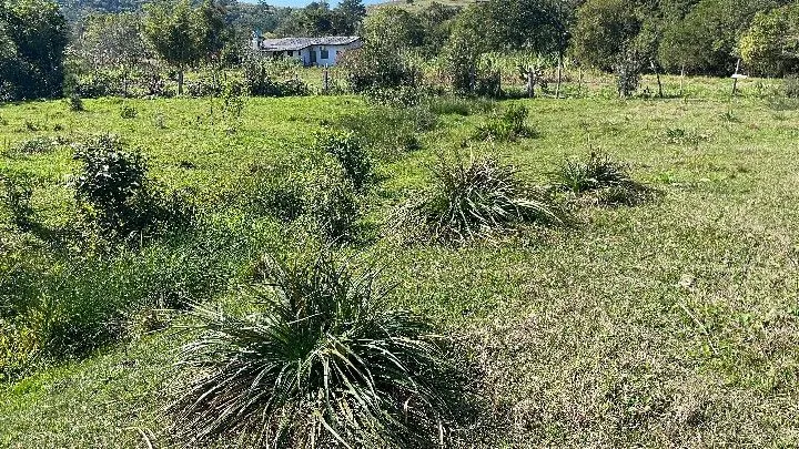 Chácara à venda de 6.800 m² em Santo Antônio da Patrulha, RS, Brasil