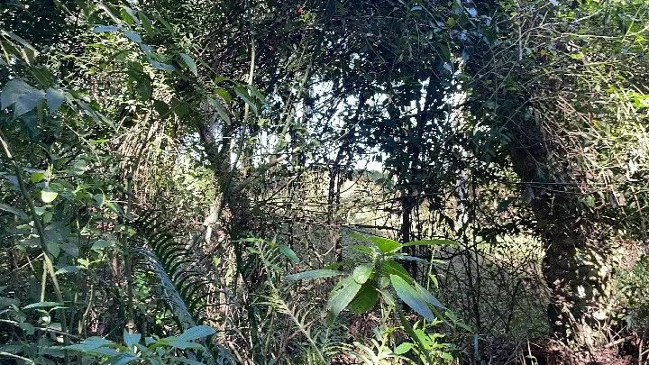 Chácara à venda de 6.800 m² em Santo Antônio da Patrulha, RS, Brasil