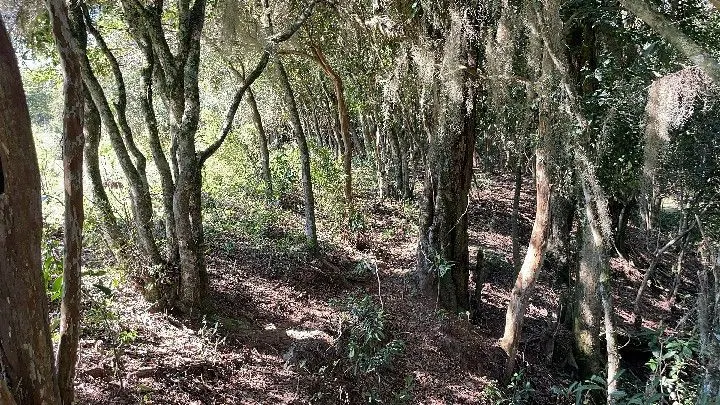 Chácara à venda de 6.800 m² em Santo Antônio da Patrulha, RS, Brasil