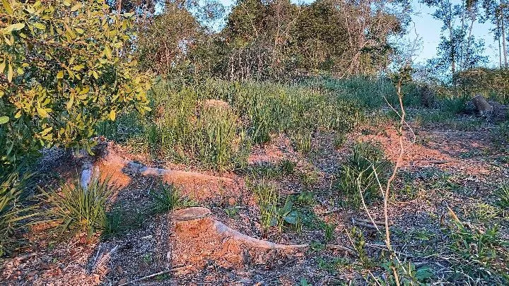 Chácara à venda de 6.800 m² em Santo Antônio da Patrulha, RS, Brasil