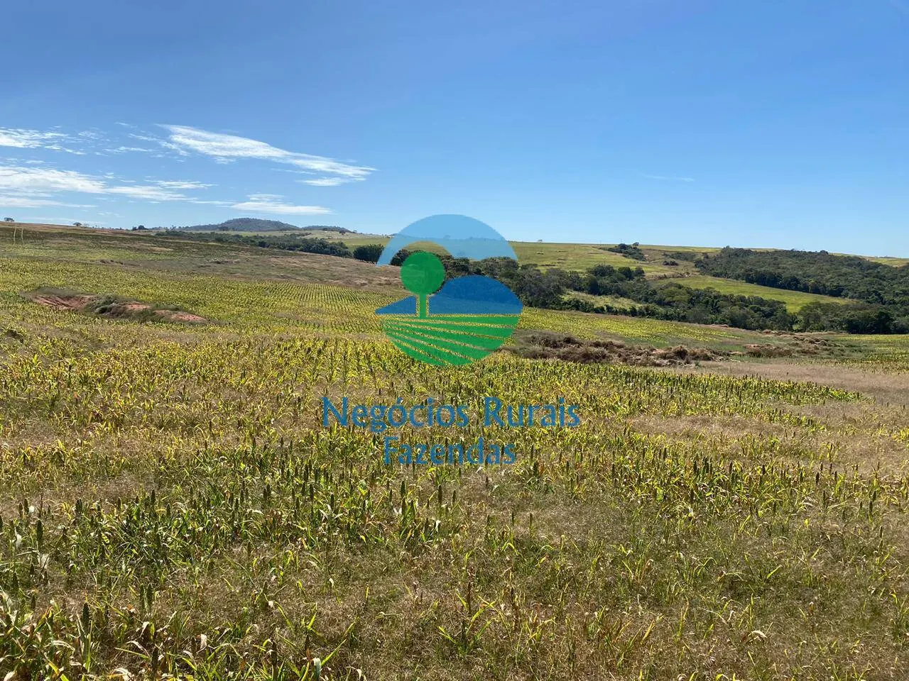 Fazenda à venda de 556 ha em Pires do Rio, GO, Brasil