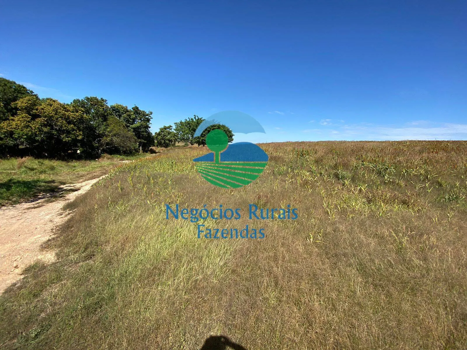 Fazenda à venda de 556 ha em Pires do Rio, GO, Brasil