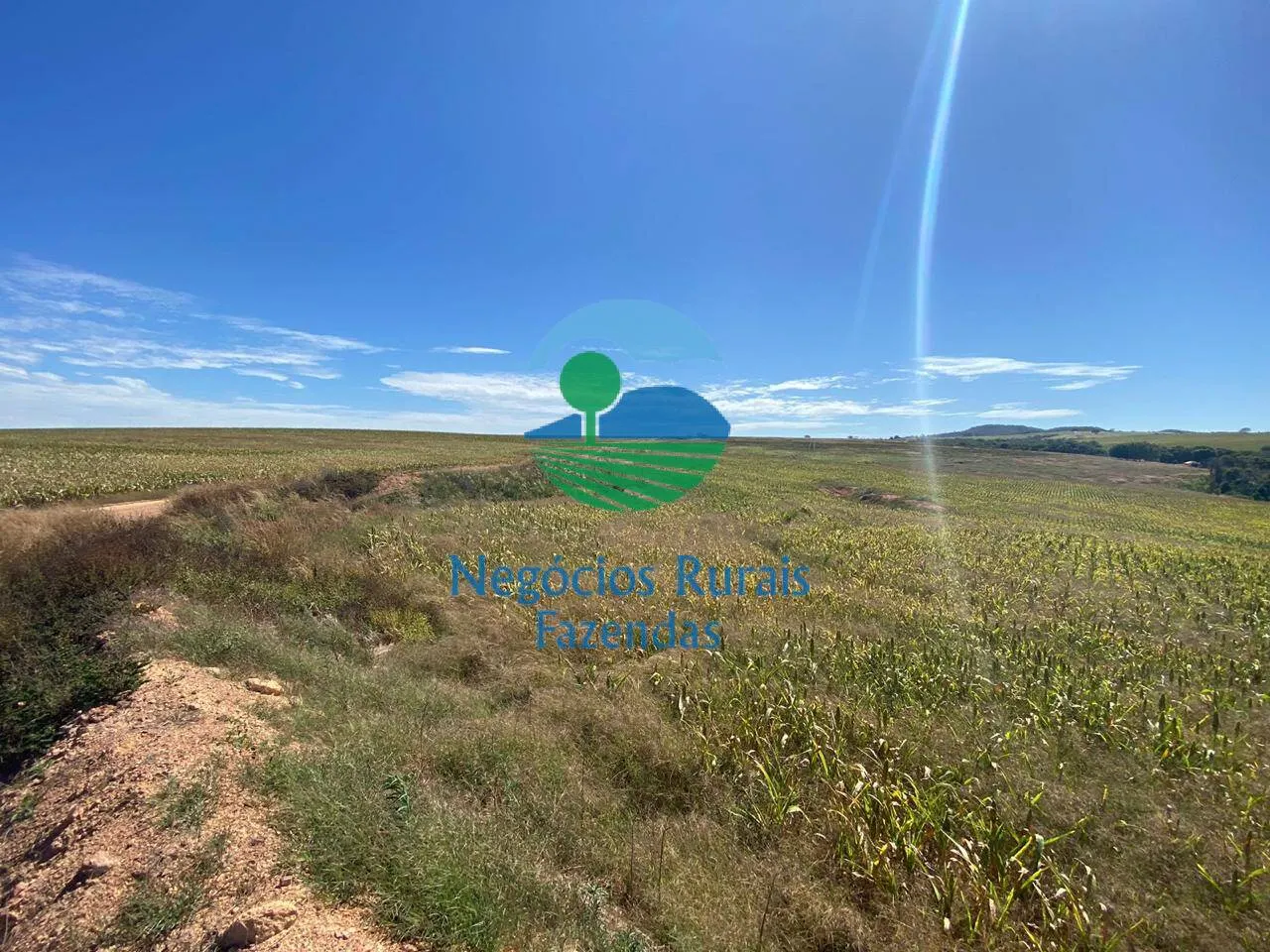 Fazenda à venda de 556 ha em Pires do Rio, GO, Brasil