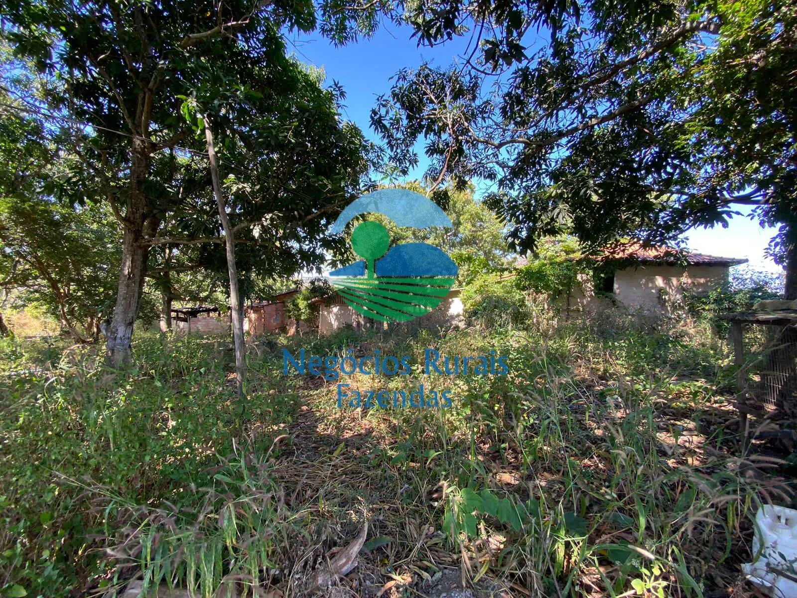Fazenda à venda de 556 ha em Pires do Rio, GO, Brasil