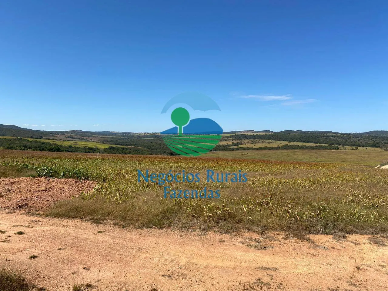 Fazenda à venda de 556 ha em Pires do Rio, GO, Brasil