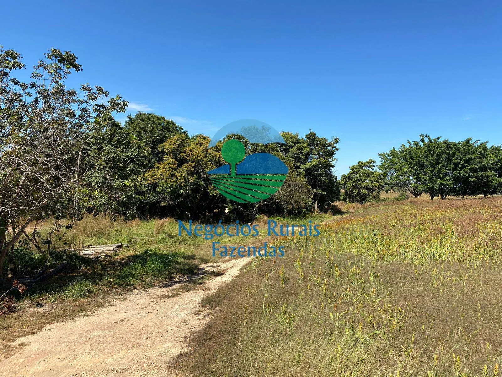 Fazenda à venda de 556 ha em Pires do Rio, GO, Brasil