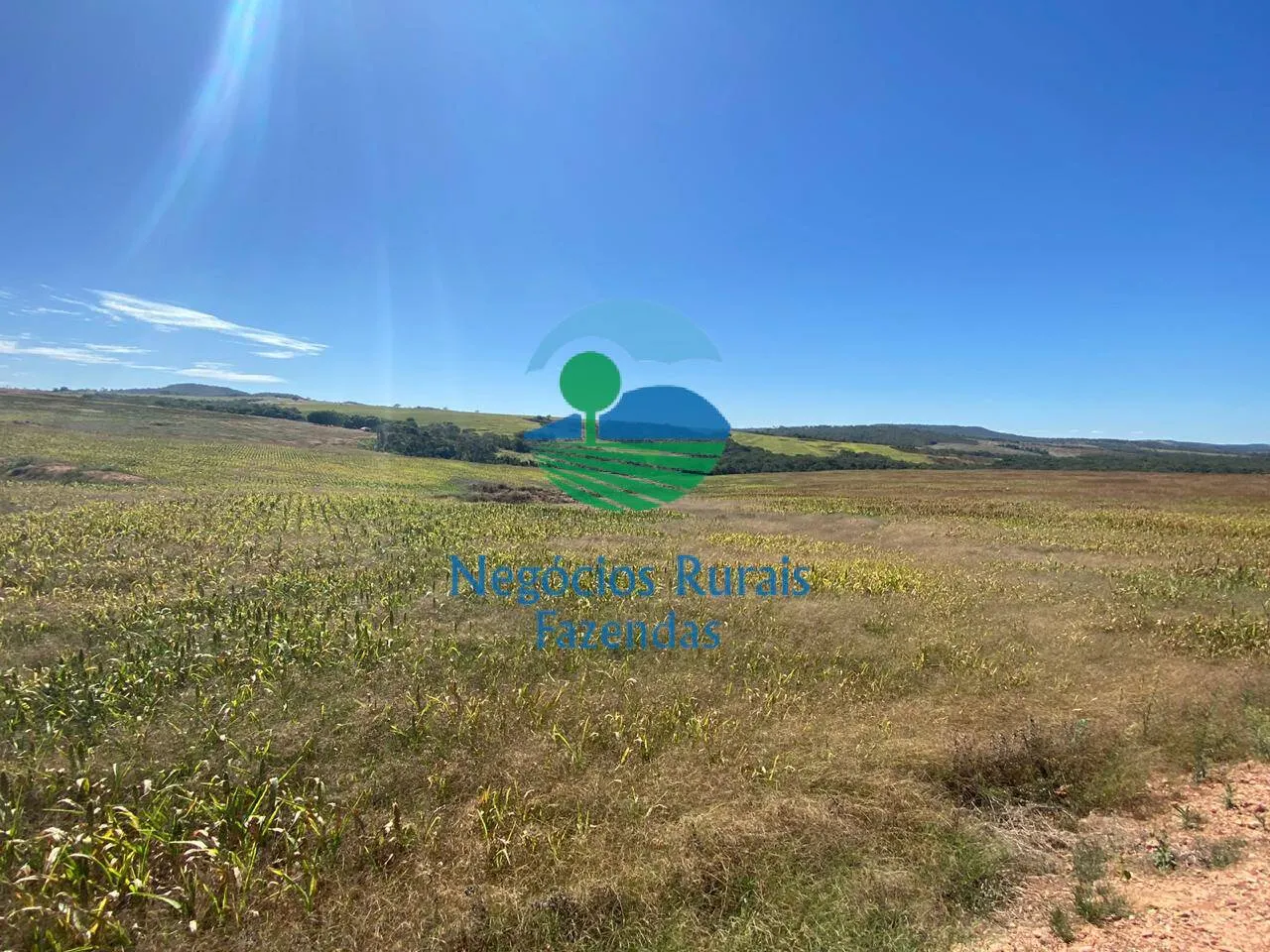 Fazenda à venda de 556 ha em Pires do Rio, GO, Brasil