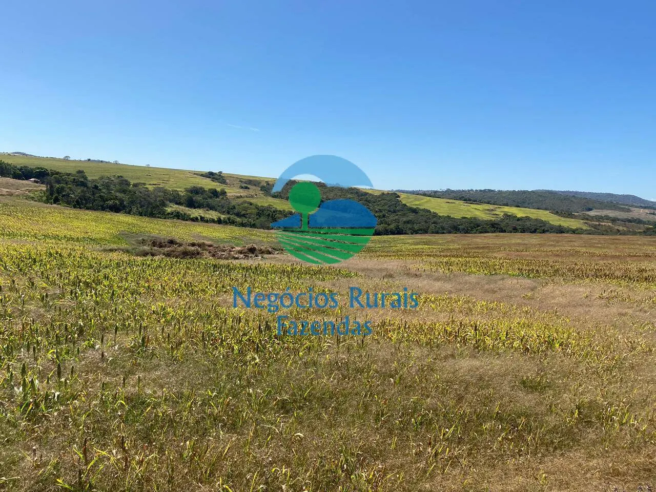 Fazenda à venda de 556 ha em Pires do Rio, GO, Brasil