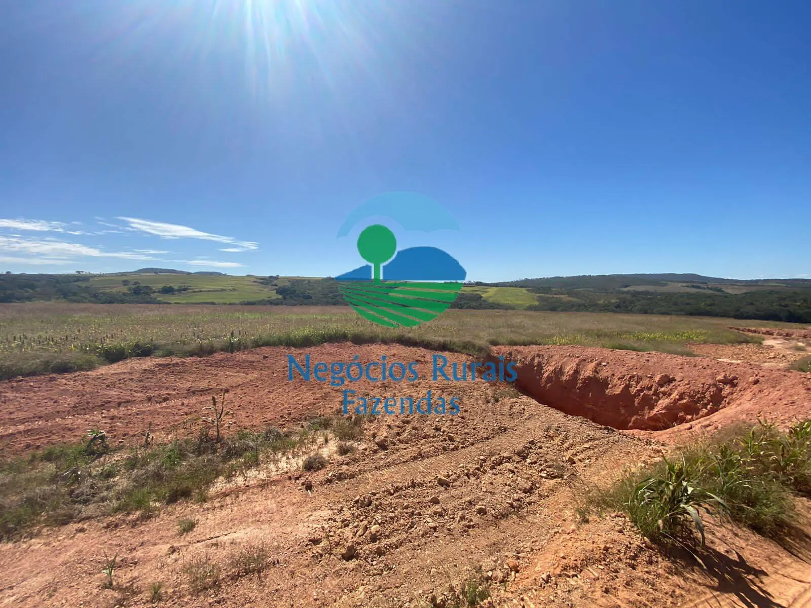 Fazenda à venda de 556 ha em Pires do Rio, GO, Brasil