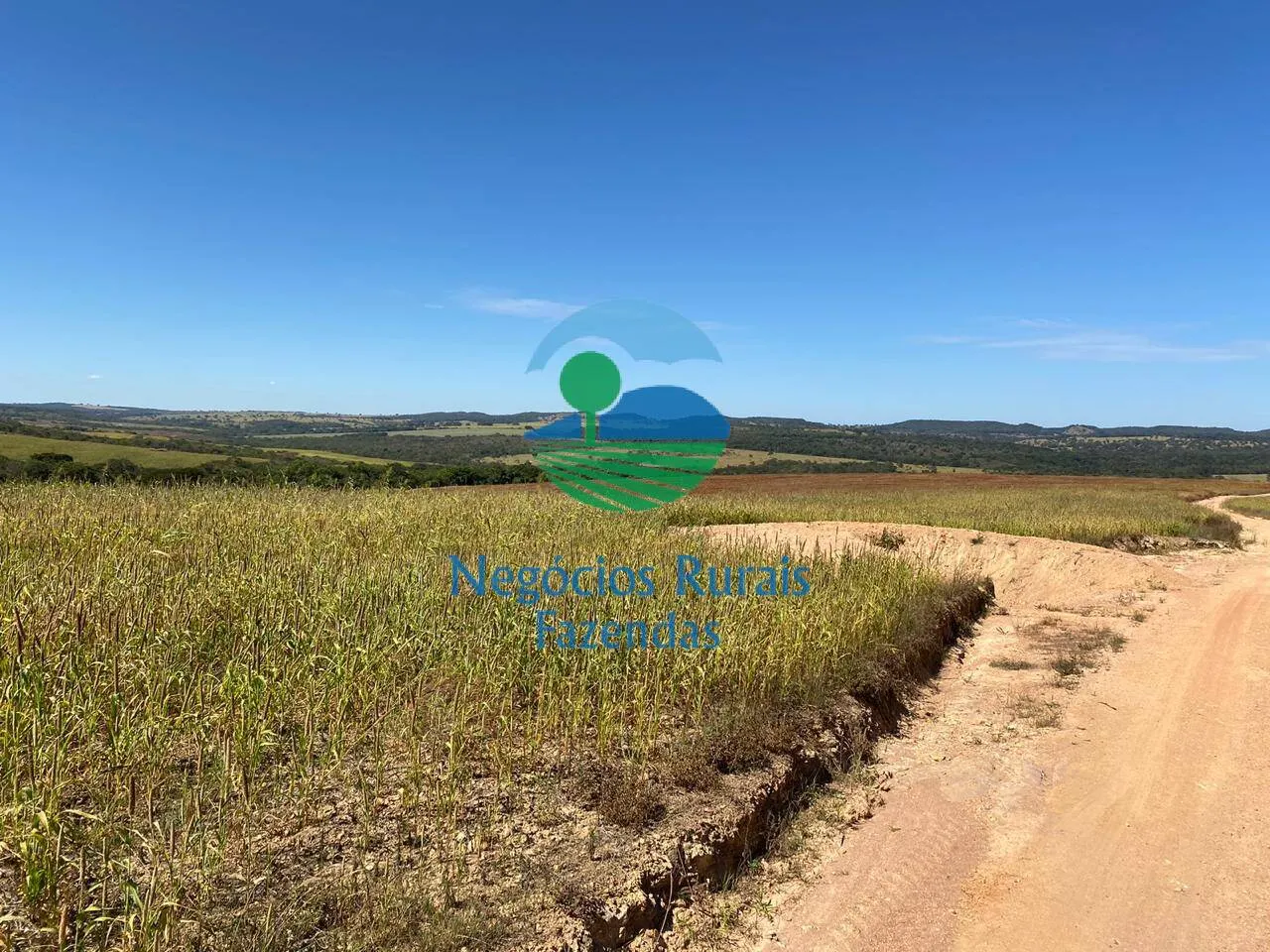 Fazenda à venda de 556 ha em Pires do Rio, GO, Brasil