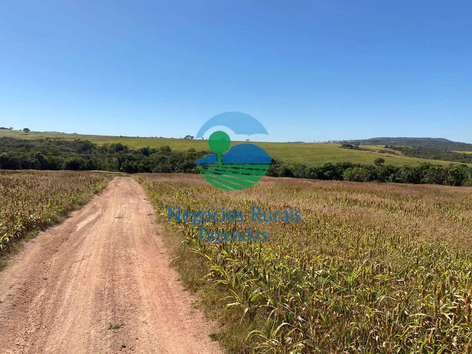 Fazenda à venda de 556 ha em Pires do Rio, GO, Brasil