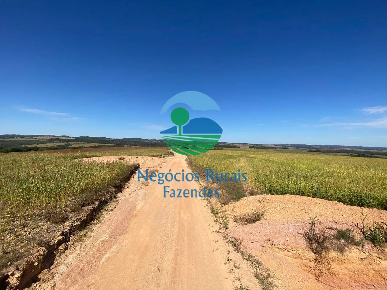Fazenda à venda de 556 ha em Pires do Rio, GO, Brasil
